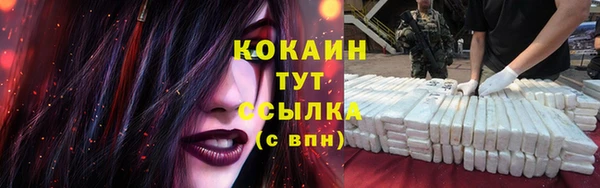 apvp Семилуки