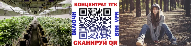 ОМГ ОМГ зеркало Вытегра ТГК THC oil