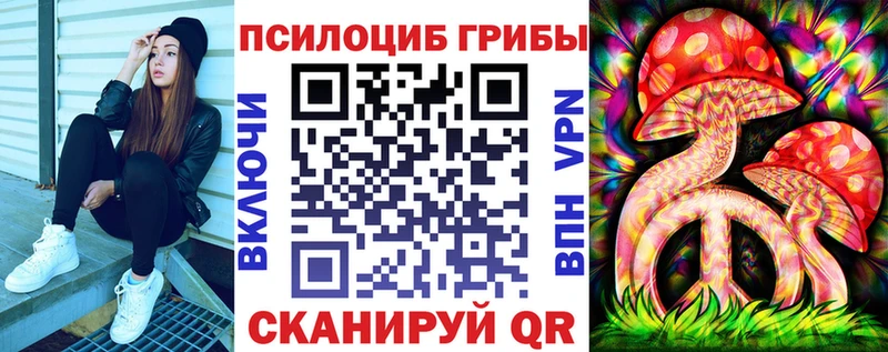 блэк спрут вход  Вытегра  Псилоцибиновые грибы MAGIC MUSHROOMS 